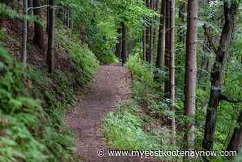 Kimberley Trail Society reports successful year - My East Kootenay Now