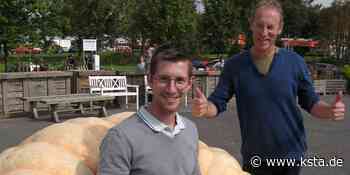 Lohmar: Belgier wird mit 764-Kilo-Exemplar Kürbis-König - Kölner Stadt-Anzeiger