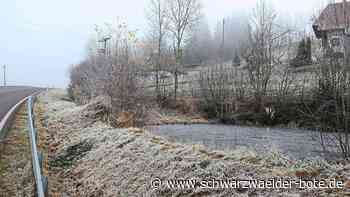 Haushalt in Schramberg - Ortschaftsrat nimmt Tennenbronner Projekte unter Lupe – Halle bleibt priorisiert - Schwarzwälder Bote