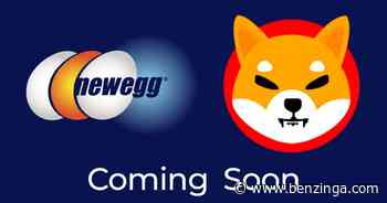 It's Official! Online Retail Giant Newegg Confirms That It Will Accept Shiba Inu - Benzinga - Benzinga