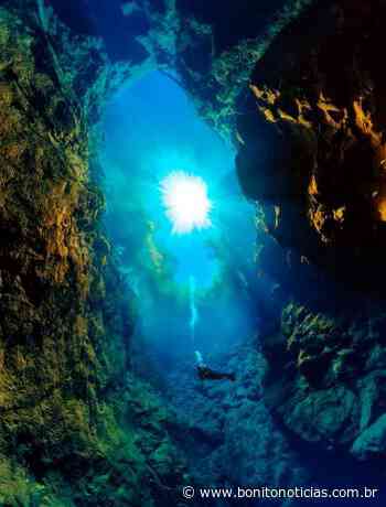 Flutuação, mergulho com cilindro e escada submersa, conheça os encantos da Lagoa Misteriosa - Bonito Notícias