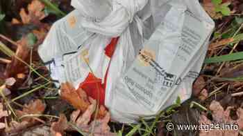 Sora – Rifiuti speciali per strada, sarà possibile identificare il responsabile? - TG24.info