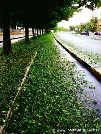 Putignano – Stadio comunale a terzi e palestre senza acqua calda - Putignano Informatissimo