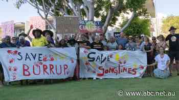 'Our pyramids of Egypt': Scores rally amid fears ancient rock art under threat from LNG project