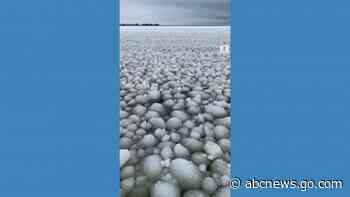 WATCH:  Ball-shaped ice covers lake in Canada