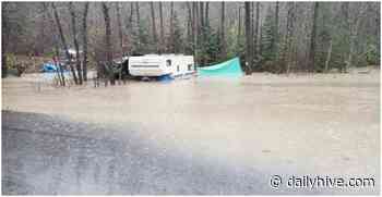 “I needed to help”: How a Chilliwack woman stepped up after flooding in BC (PHOTOS) | News - Daily Hive