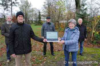 Bürgerinitiative gegründet: Sie wollen den Stader Surfpark verhindern - Stade - Tageblatt-online