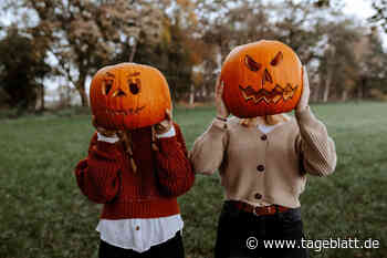 Halloween: Das sind die Grusel-Kürbisse der TAGEBLATT-Leser - Landkreis Stade - Tageblatt-online