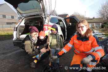 Ouders planten geboorteboom in eigen tuin