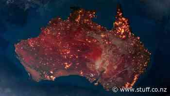 Burning: The environmental doco Scott Morrison won't want you to see hits Amazon - Stuff.co.nz