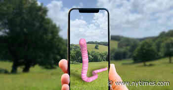 Worms and Art? Go Ahead, Be Silly.