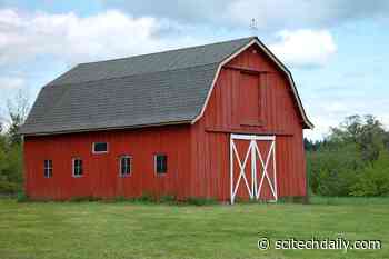 Why Are Barns Almost Always Painted Red?