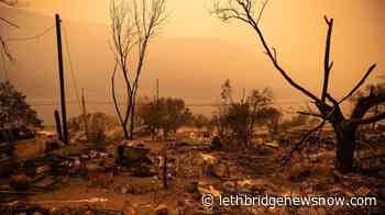 Extreme wildfire weather increasing around the globe, research says - Lethbridge News Now