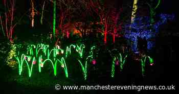 Dunham Massey cancels Christmas lights trails amid Storm Arwen weather warnings - Manchester Evening News