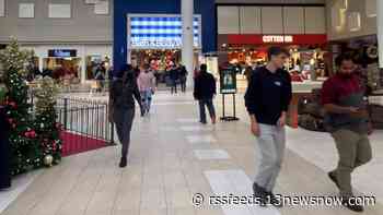 Stores busy, but not chaotic at Lynnhaven Mall on Black Friday