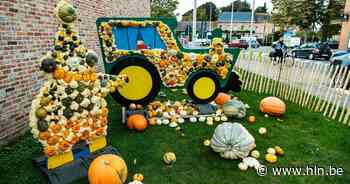 Op huizenjacht in... het groene Kasterlee: “Wil je een huis met een vergezicht over de velden, kan de prijs stijgen tot 500.000 euro” - Het Laatste Nieuws