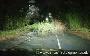 Lancaster: Man died during Storm Arwen after tree fell onto him