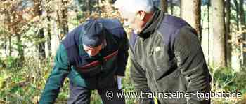 Wildverbiss im Kreis Traunstein zurückgegangen - Traunsteiner Tagblatt