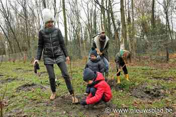 3000 m² nieuw geboortebos goed voor 1100 bomen en struiken