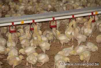 Uitbraak vogelgriep  in Frankrijk zorgt voor extra maatregelen in  West-Vlaamse gemeenten