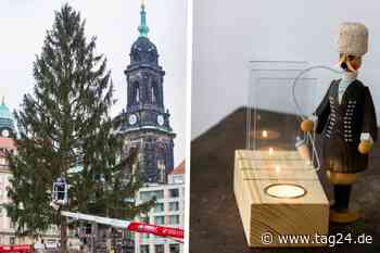 Dresden: Sind die Lichter angezündet - Wie aus unserer Striezelfichte 81 Adventskränze wurden - TAG24
