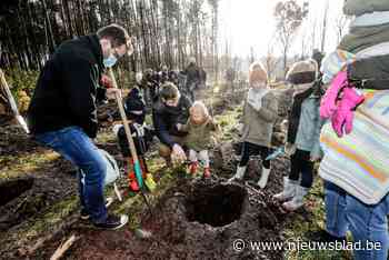 Ouders planten bijna vierhonderd nieuwe bomen in geboortebos Horendonk