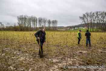 Ronse is 1,2 hectare bos rijkers dankzij klimaatmars