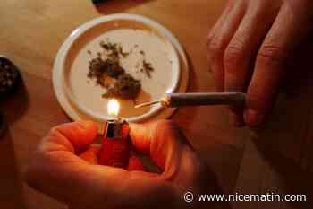 Interpellé avec une bombe lacrymogène et du cannabis, il écope d'une amende de 500 euros