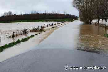 Aanhoudende regen leidt tot wateroverlast in West-Vlaanderen: meerdere straten blank door overlopende beken