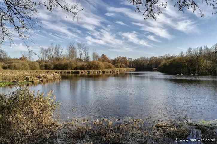 Vlaamse overheid beveelt waterbodemonderzoeken in Willebroek: “Te bekostigen door beheerders”