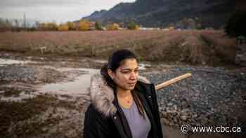 Fraser Valley farmers won't know for weeks how floodwaters have affected prized soil