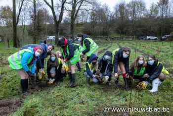 Overstromingsgebied Drielindenbeek wordt recreatiedomein