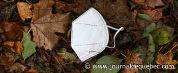 COVID-19: 875 nouveaux cas au Québec