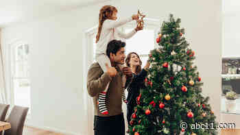 Is it ever too early to put up a Christmas tree? Survey seeks answers in holiday's polarizing debate