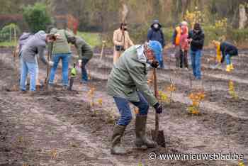 Vrijwilligers Natuurpunt planten bos in Varestraat