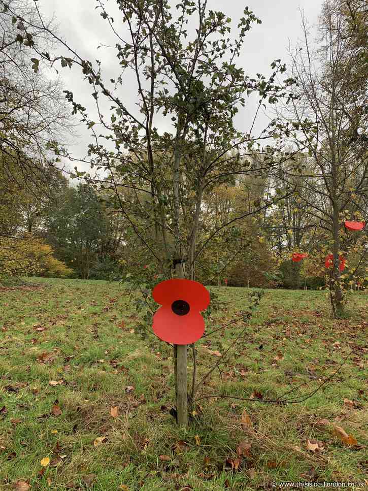Remembrance Day 2021