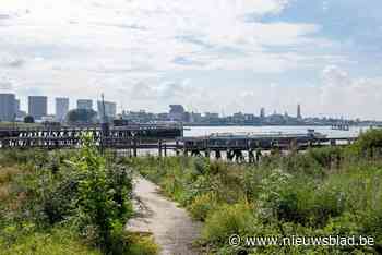 Lichaam aangetroffen tijdens opruimen van zwerfvuil in Antwerpen