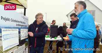 Griesheim sucht den Blickwinkel seiner Bürger - Echo Online