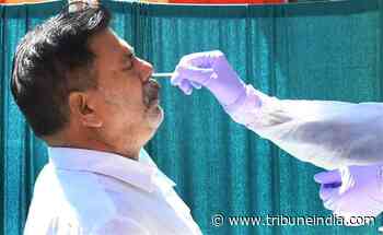 42 fresh coronavirus cases in Punjab - The Tribune