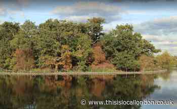 Wetlands and tree planting in plan to enhance Redbridge biodiversity