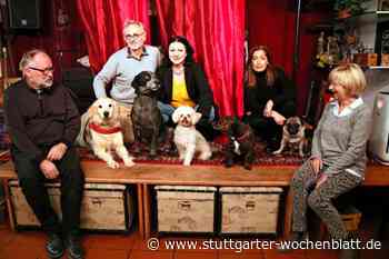 Ostfildern: Im Einsatz für Streuner - Stuttgarter Wochenblatt