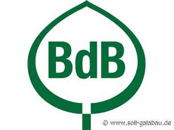 Pflanzen erobern die Architektur – Fassadenbegrünung auf dem Vormarsch - Beschaffungsdienst GaLaBau