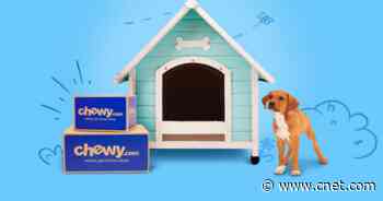 Stockpile pet toys and treats during Chewy's Cyber Week sale     - CNET