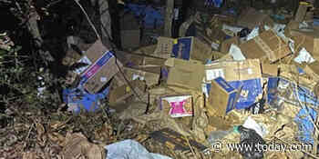 Nearly 400 FedEx packages dumped and found in Alabama woods