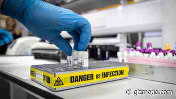 Omicron Coronavirus Variant Sparks Emergency Response in US, UK - Gizmodo
