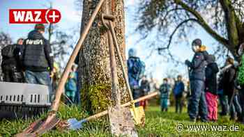 Kein Bürgerwald – das plant die Stadt Witten nun stattdessen - Westdeutsche Allgemeine Zeitung