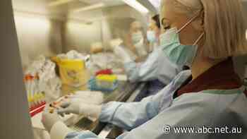 COVID updates: Officials waiting on more research about the new Omicron variant - ABC News