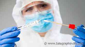 New Coronavirus variant spreads across continents - Telegraph India