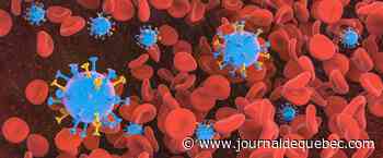 Deux premiers cas du variant Omicron au Canada