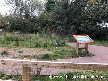 New pond welcomes biodiversity attracting locals to Latchmere Recreation Ground